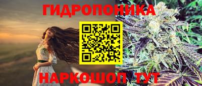 крисы Старая Купавна