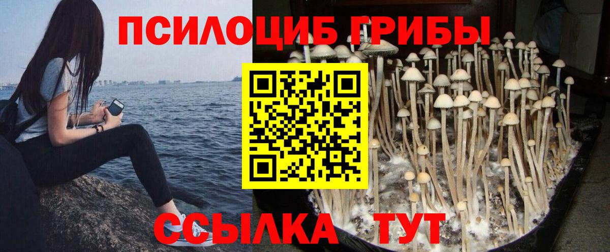 Галлюциногенные грибы ЛСД Лесной