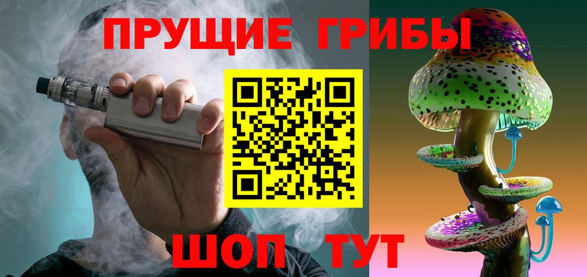 Галлюциногенные грибы Psilocybe  Вход с VPN  Лесной 
